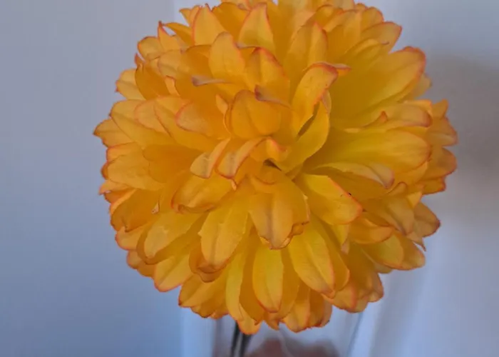 公寓 Turistico Acquamarina 斯培西亚