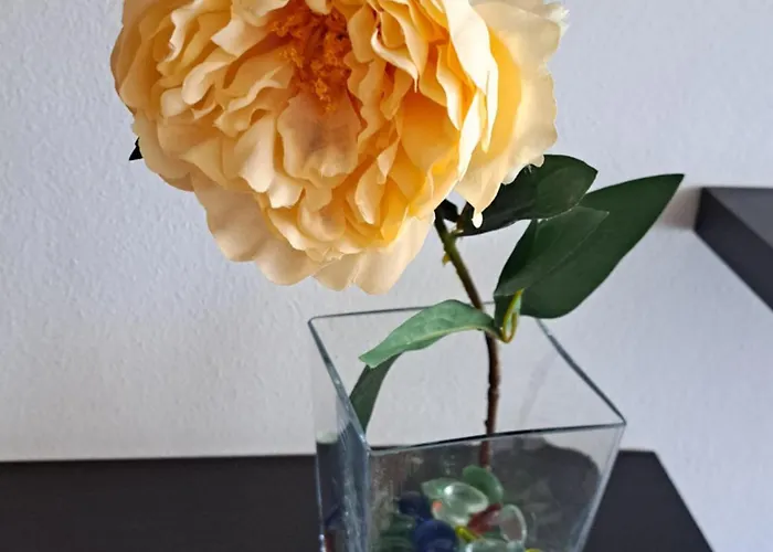 公寓 Turistico Acquamarina *