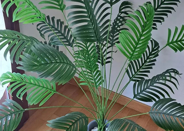 公寓 Turistico Acquamarina 斯培西亚