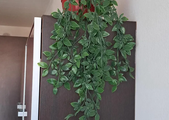 Turistico Acquamarina *