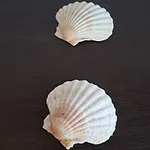 Turistico Acquamarina *