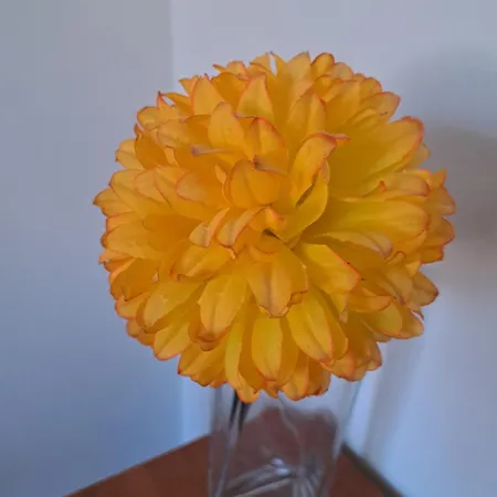 Apartment Turistico Acquamarina La Spezia