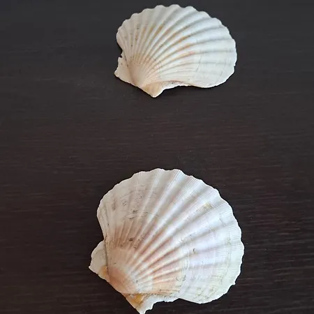 Turistico Acquamarina *