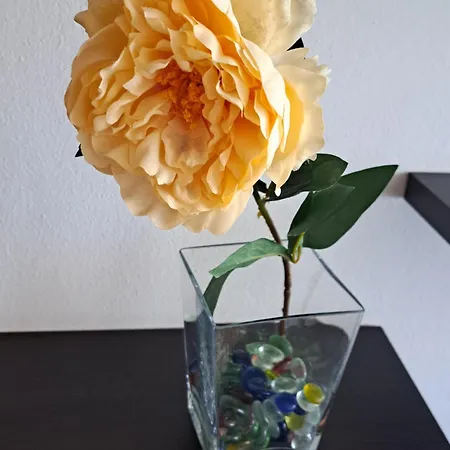 Apartment Turistico Acquamarina *