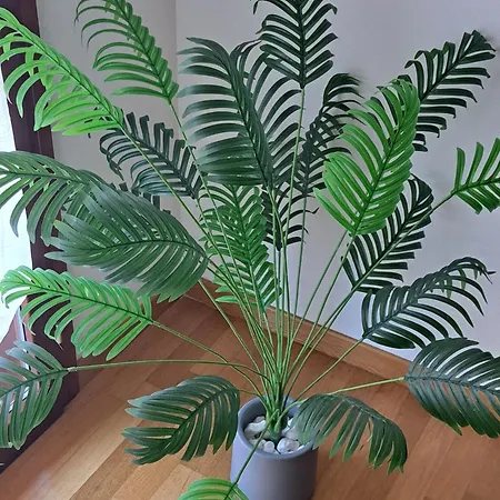 Apartment Turistico Acquamarina La Spezia